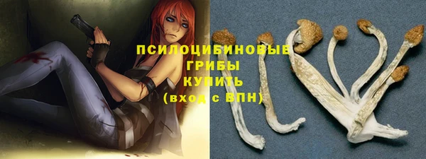2c-b Гусиноозёрск