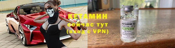 трава Гусь-Хрустальный
