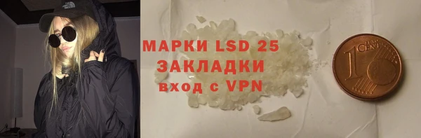 дурь Гусев