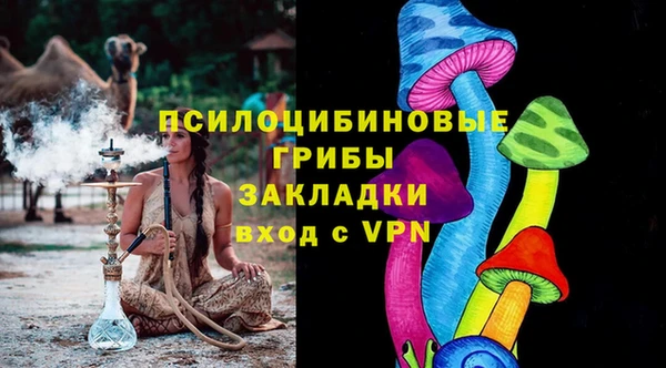 дурь Гусев