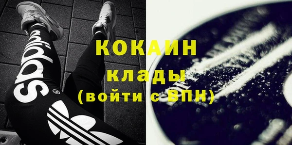 дурь Гусев