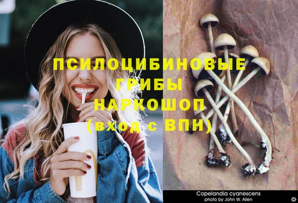 дурь Гусев