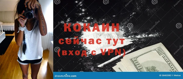 дурь Гусев
